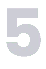 Number 5 to denote reason 5 out of 5 of why to use FxProMeta